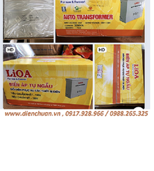 Biến áp (biến thế) đổi nguồn Lioa 3000VA ( 3KVA)/  Lioa DN030K1