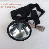 den dau 12v 25w 1